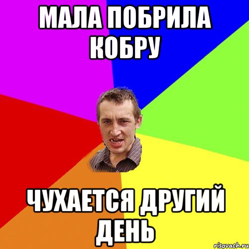 коли мала каже шо я педик то вона не приставляє,яка в мене кобра, Мем Чоткий паца