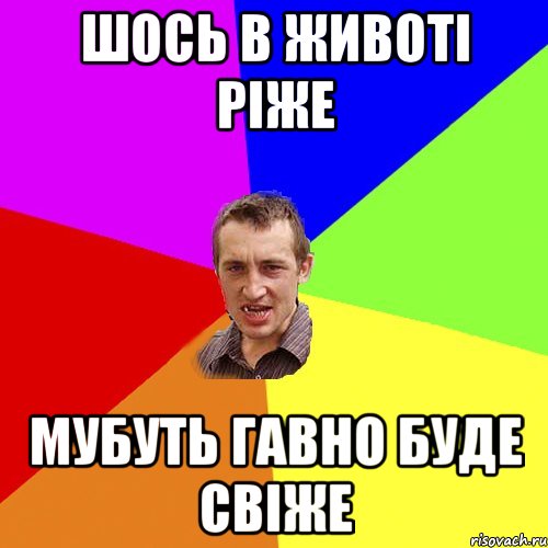 шось в животі ріже мубуть гавно буде свіже, Мем Чоткий паца