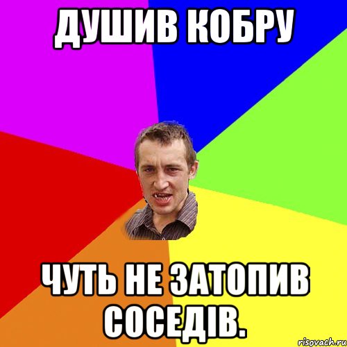 Душив кобру чуть не затопив соседів., Мем Чоткий паца