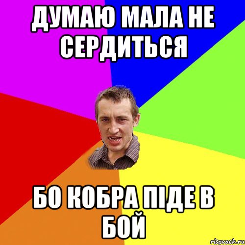 думаю мала не сердиться бо кобра піде в бой, Мем Чоткий паца