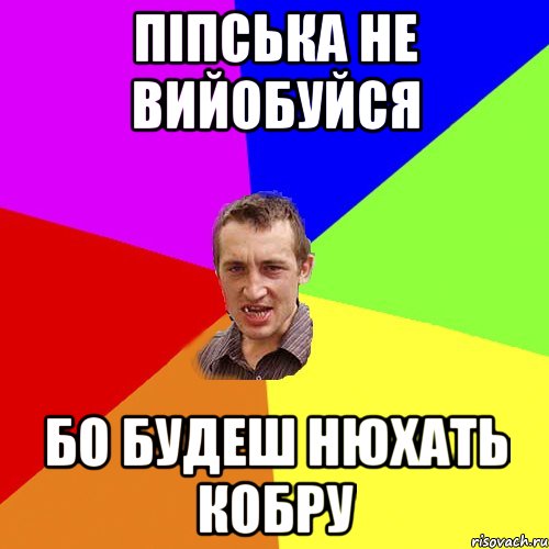 піпська не вийобуйся бо будеш нюхать кобру, Мем Чоткий паца