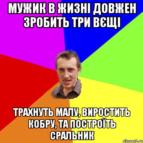 Мужик в жизні довжен зробить три вєщі трахнуть малу, виростить кобру, та построїть сральник, Мем Чоткий паца