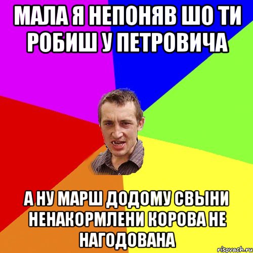 Мала я непоняв шо ти робиш у петровича А ну марш додому свыни ненакормлени корова не нагодована, Мем Чоткий паца