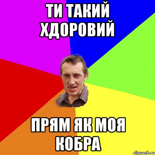 Ти такий хдоровий Прям як моя кобра, Мем Чоткий паца