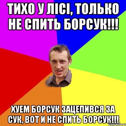 Тихо у лiсi, только не спить борсук!!! Хуем борсук зацепився за сук, вот и не спить борсук!!!, Мем Чоткий паца