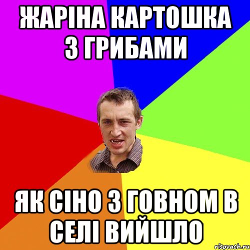 жаріна картошка з грибами як сіно з говном в селі вийшло, Мем Чоткий паца