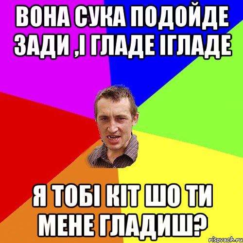 вона сука подойде зади ,i гладе iгладе я тобi кiт шо ти мене гладиш?, Мем Чоткий паца