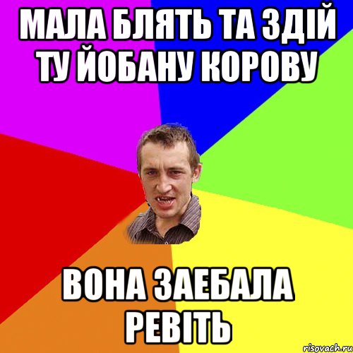 МАЛА БЛЯТЬ ТА ЗДІЙ ТУ ЙОБАНУ КОРОВУ ВОНА ЗАЕБАЛА РЕВІТЬ, Мем Чоткий паца