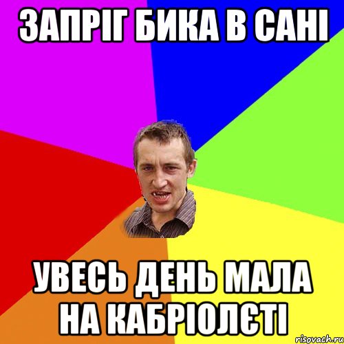 запріг бика в сані увесь день мала на кабріолєті, Мем Чоткий паца