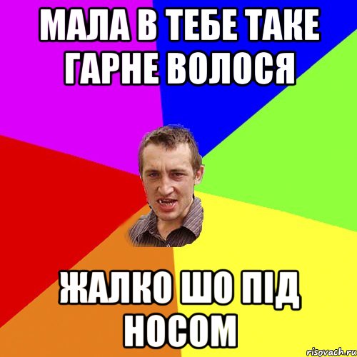 мала в тебе таке гарне волося жалко шо під носом, Мем Чоткий паца