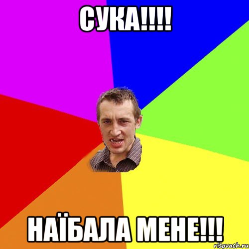 Сука!!!! Наїбала мене!!!, Мем Чоткий паца