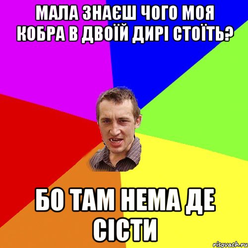 Мала знаєш чого моя кобра в двоїй дирі стоїть? Бо там нема де сісти, Мем Чоткий паца