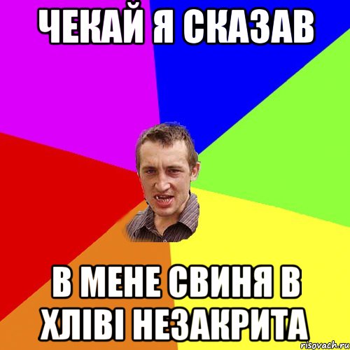 чекай я сказав в мене свиня в хліві незакрита, Мем Чоткий паца