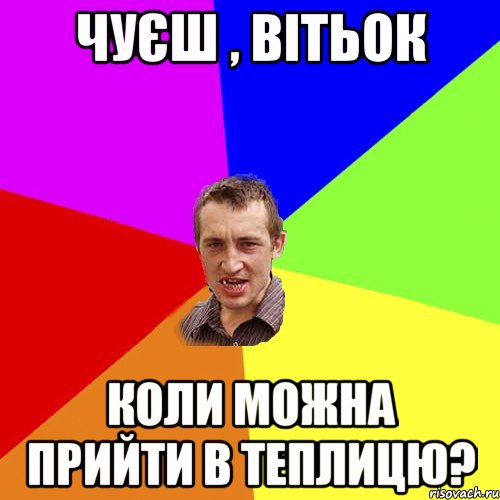 Чуєш , Вітьок коли можна прийти в теплицю?, Мем Чоткий паца