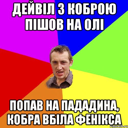 дейвіл з коброю пішов на олі попав на пададина, кобра вбіла фенікса, Мем Чоткий паца