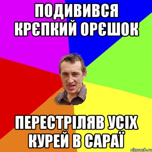 Подивився Крєпкий орєшок Перестріляв усіх курей в сараї, Мем Чоткий паца