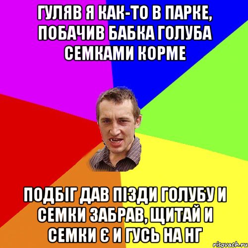 гуляв я как-то в парке, побачив бабка голуба семками корме подбіг дав пізди голубу и семки забрав, щитай и семки є и гусь на нг, Мем Чоткий паца