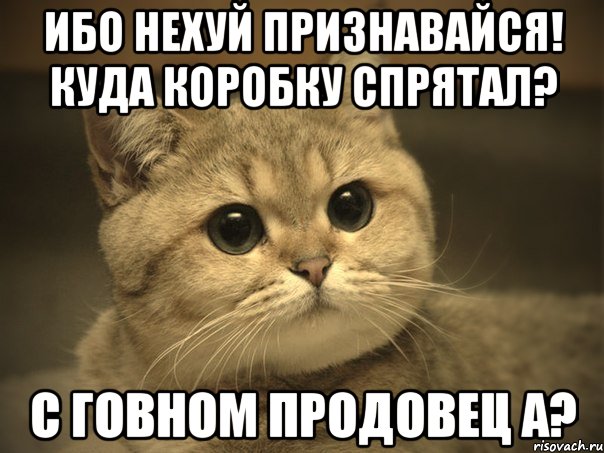 Ибо нехуй признавайся! Куда коробку спрятал? С говном продовец а?, Мем Пидрила ебаная котик