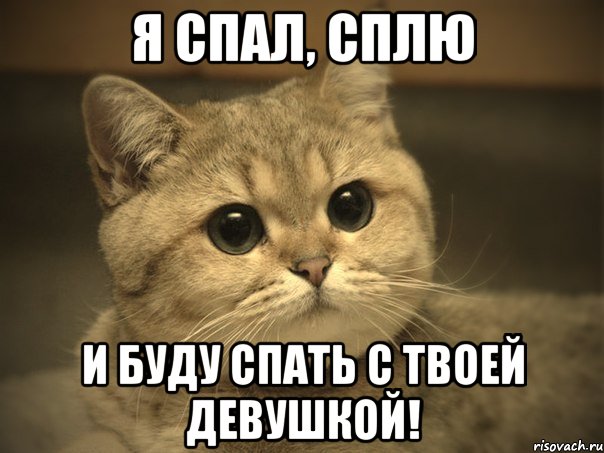 Я спал, сплю и буду спать с ТВОЕЙ девушкой!, Мем Пидрила ебаная котик