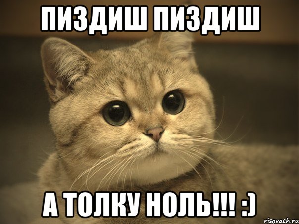 Пиздиш пиздиш А толку ноль!!! :), Мем Пидрила ебаная котик