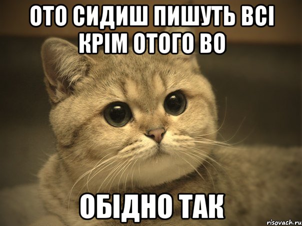 ото сидиш пишуть всі крім отого во обідно так, Мем Пидрила ебаная котик