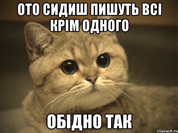 ото сидиш пишуть всі крім одного обідно так, Мем Пидрила ебаная котик