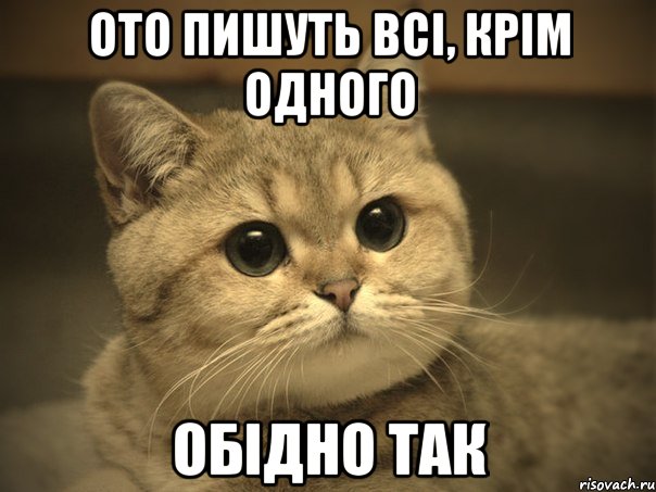 ото пишуть всі, крім одного обідно так, Мем Пидрила ебаная котик