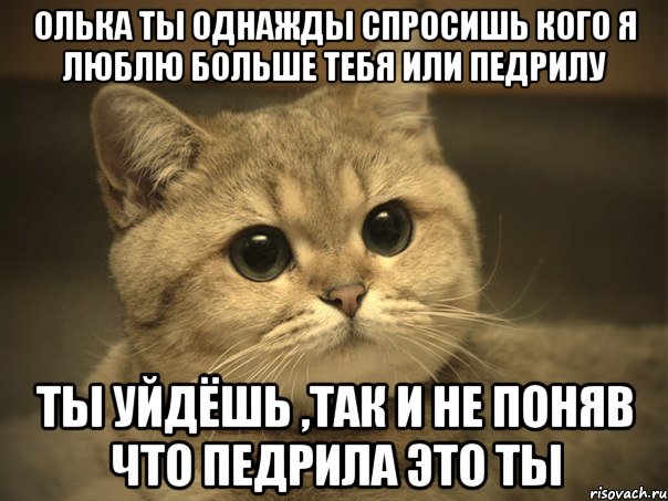 Олька ты однажды спросишь кого я люблю больше тебя или педрилу ты уйдёшь ,так и не поняв что педрила это ты, Мем Пидрила ебаная котик