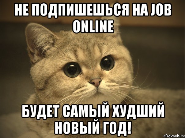 Не подпишешься на Job Online Будет самый худший Новый год!, Мем Пидрила ебаная котик