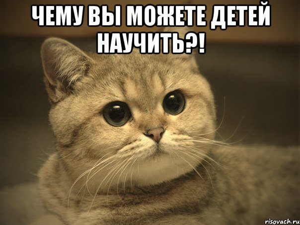 чему вы можете детей научить?! , Мем Пидрила ебаная котик