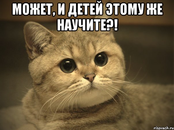 может, и детей этому же научите?! , Мем Пидрила ебаная котик