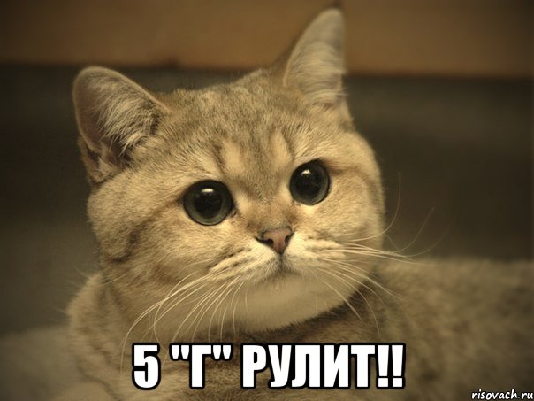  5 "Г" РУЛИТ!!, Мем Пидрила ебаная котик