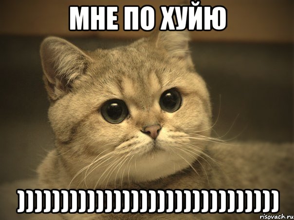 Мне по хуйю )))))))))))))))))))))))))))))), Мем Пидрила ебаная котик