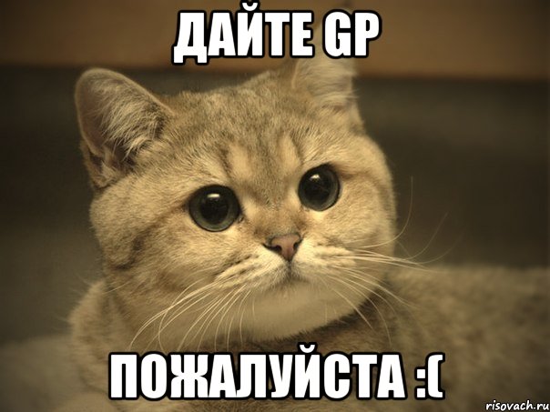 дайте GP пожалуйста :(, Мем Пидрила ебаная котик