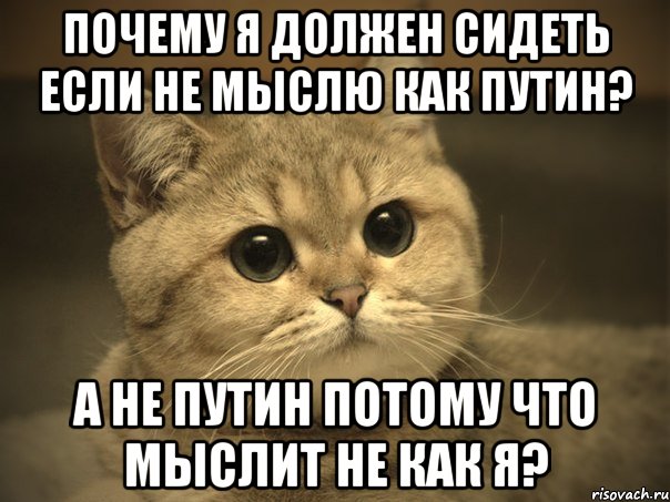 почему я должен сидеть если не мыслю как Путин? а не Путин потому что мыслит не как я?, Мем Пидрила ебаная котик