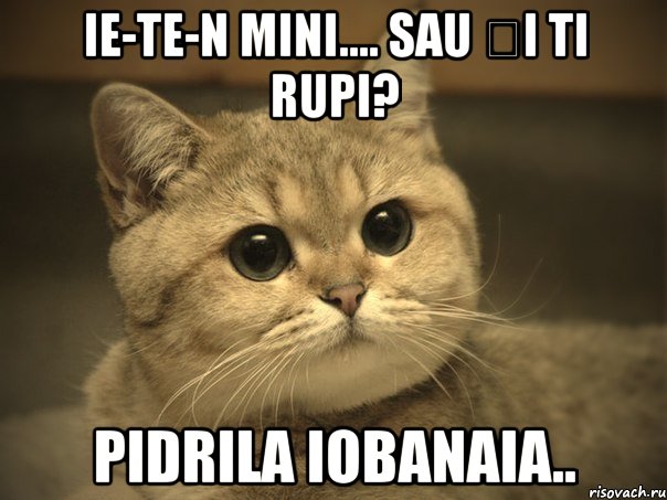 IE-TE-N MINI.... SAU șI TI RUPI? PIDRILA IOBANAIA.., Мем Пидрила ебаная котик