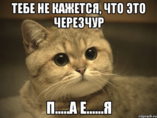 ТЕБЕ НЕ КАЖЕТСЯ, ЧТО ЭТО ЧЕРЕЗЧУР П.....А Е......Я, Мем Пидрила ебаная котик