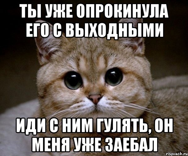 ты уже опрокинула его с выходными иди с ним гулять, он меня уже заебал, Мем Пидрила Ебаная