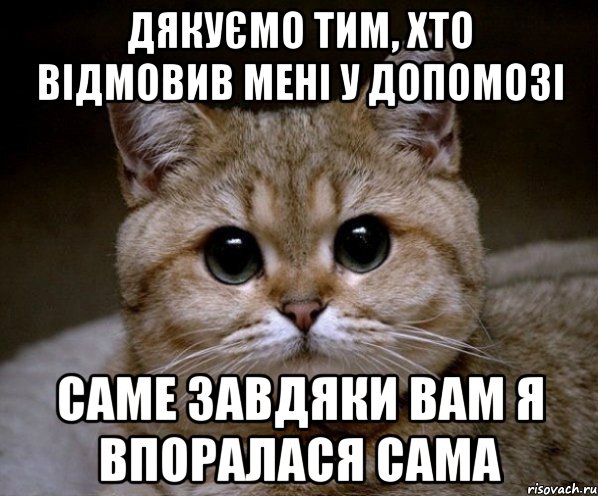 Дякуємо тим, хто відмовив мені у допомозі Саме завдяки вам я впоралася сама, Мем Пидрила Ебаная