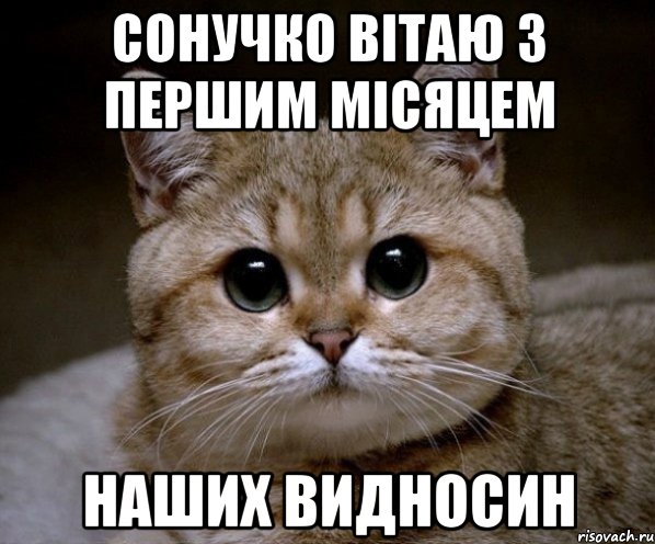 сонучко вітаю з першим місяцем наших видносин, Мем Пидрила Ебаная