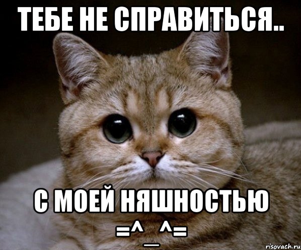 Тебе не справиться.. С МОЕЙ НЯШНОСТЬЮ =^_^=, Мем Пидрила Ебаная