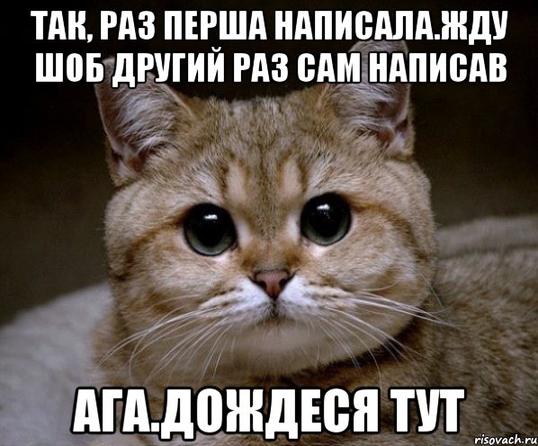 так, раз перша написала.жду шоб другий раз сам написав ага.дождеся тут, Мем Пидрила Ебаная