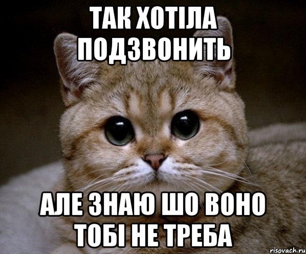 так хотіла подзвонить але знаю шо воно тобі не треба, Мем Пидрила Ебаная