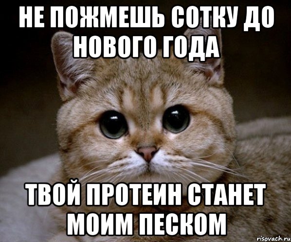 Не пожмешь сотку до Нового года твой протеин станет моим песком, Мем Пидрила Ебаная