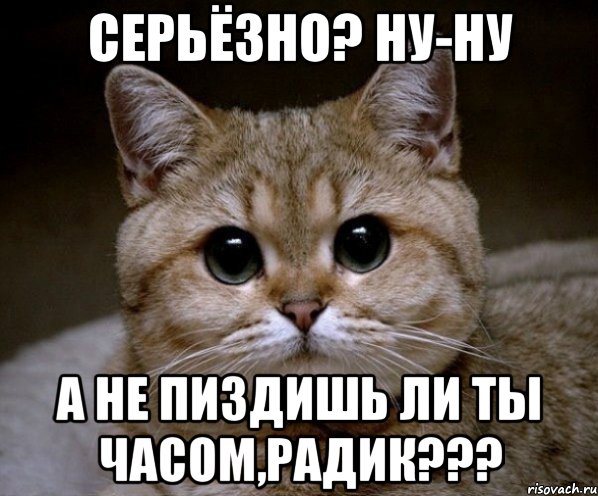 Серьёзно? ну-ну А не пиздишь ли ты часом,Радик???, Мем Пидрила Ебаная