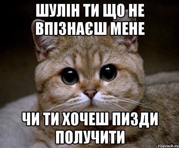 Шулін ти що не впізнаєш мене Чи ти хочеш пизди получити, Мем Пидрила Ебаная