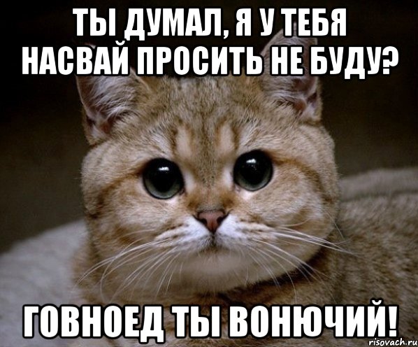 ты думал, я у тебя насвай просить не буду? говноед ты вонючий!, Мем Пидрила Ебаная