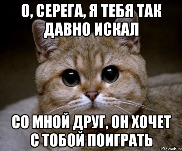 о, Серега, я тебя так давно искал со мной друг, он хочет с тобой поиграть, Мем Пидрила Ебаная