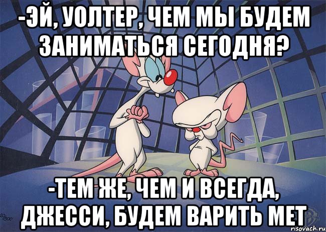 -Эй, Уолтер, чем мы будем заниматься сегодня? -Тем же, чем и всегда, Джесси, будем варить мет, Мем ПИНКИ И БРЕЙН