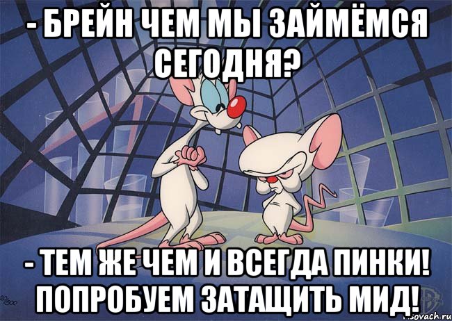 - Брейн чем мы займёмся сегодня? - Тем же чем и всегда пинки! Попробуем затащить мид!, Мем ПИНКИ И БРЕЙН